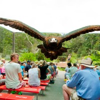 Currumbin Wildlife