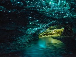 Springbrook-National-Park-glow-worms-in-Natural-Bridge-Cave-Gold-Coast-Queensland-Australia-Source-drinkteatravel.com_