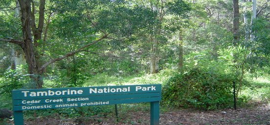 tamborin national park