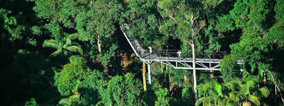 Tamborine Mountain